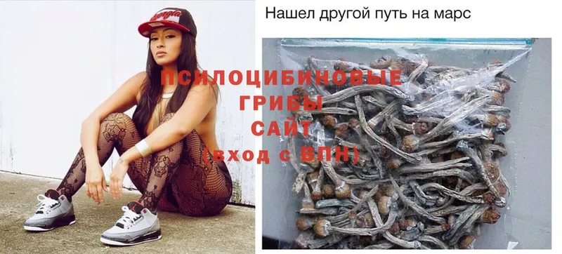 магазин продажи   Калининск  Галлюциногенные грибы Psilocybe 